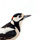 Woodpecker on a white background