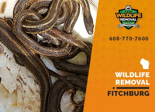 Fitchburg Wildlife Removal professional removing pest animal