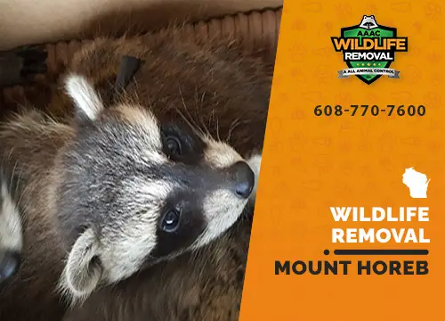 Mount Horeb Wildlife Removal professional removing pest animal
