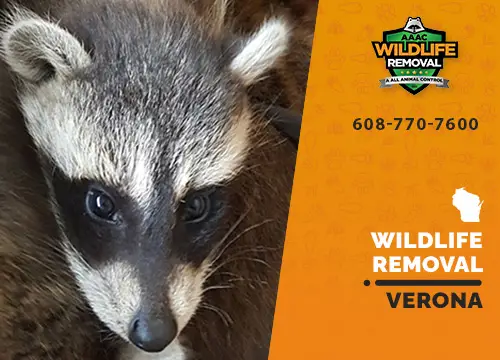 Verona Wildlife Removal professional removing pest animal